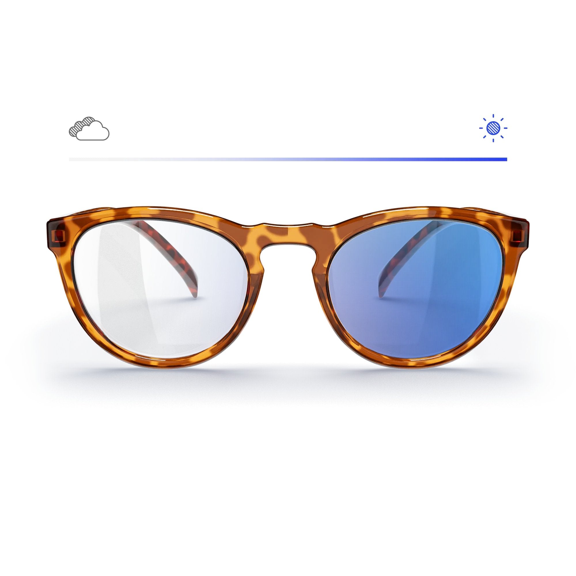 Tortoise Round Prescription Transitions® Colors – REKS®