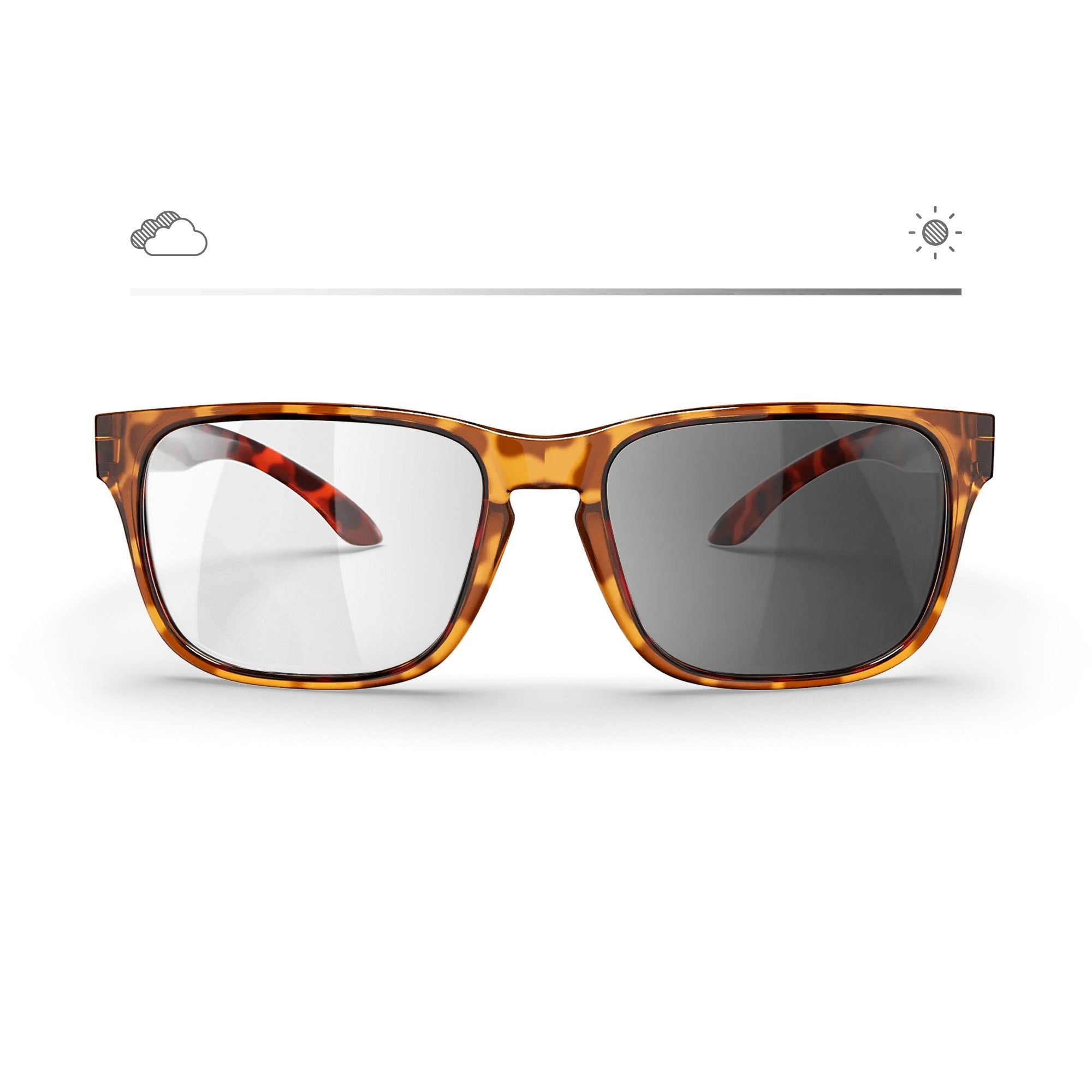 BEAU 2 KYOTO TORTOISE 18K POLARIZED