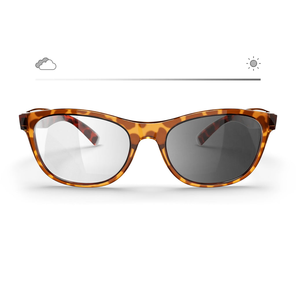 Tortoise Seafarer Transitions® Trivex® XTRActive Polarized
